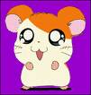 hamtaro